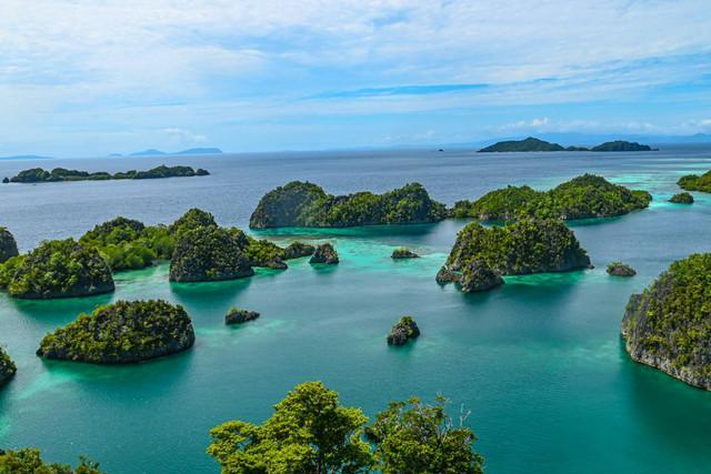 5 Bandar Bonanza Populer di Indonesia yang Wajib Dikunjungi